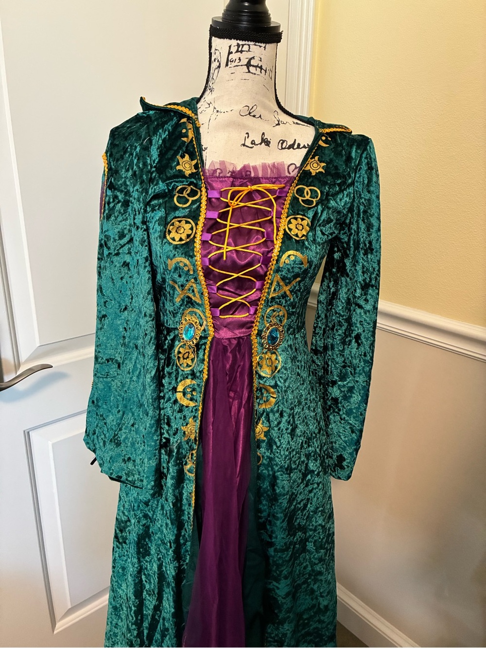 new hocus pocus Winifred Velvet Embroidered Long Coat with Purple Costume